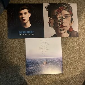 Shawn Mendes Vinyl Lot
